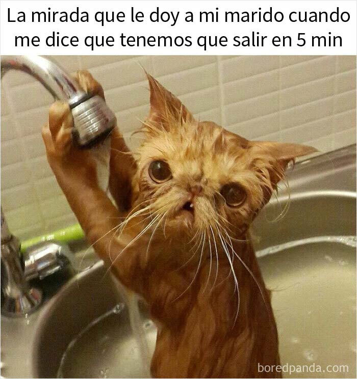 30 Hilarious Memes That Perfectly Sum Up Married Life (New Pics)