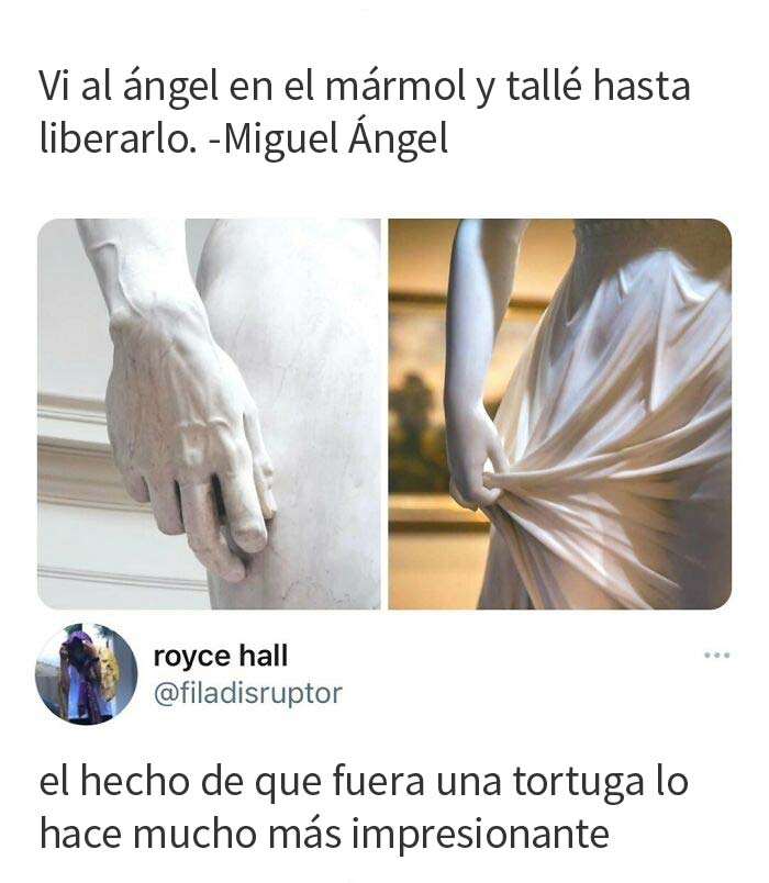 Tortuga Ninja Mutante