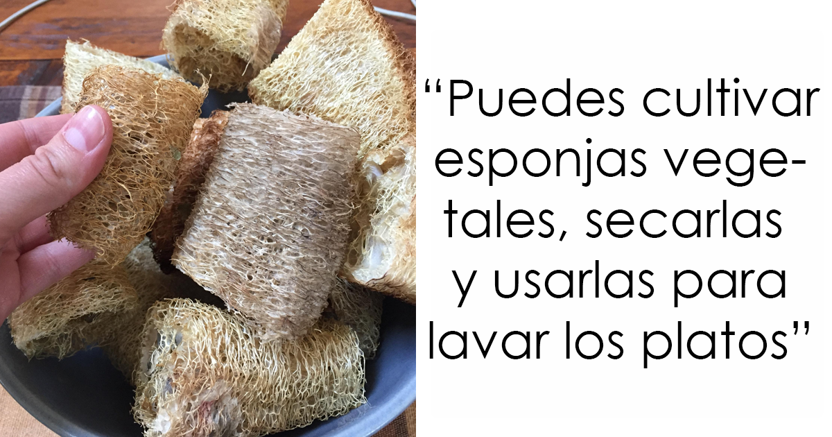 37 Trucos y consejos para generar «cero residuos», para quienes se preocupan por el medio ambiente