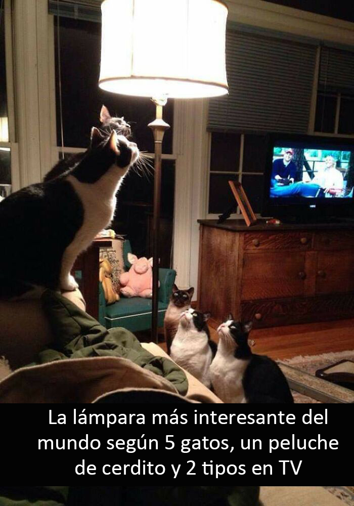La lámpara más interesante del mundo
