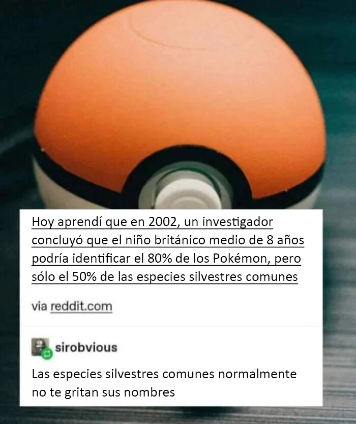 ¡¡¡¡Te elijo a ti, conejo!!!!