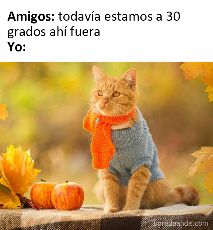 40 Funny Posts From People Who Actually Want The Summer To Be Over