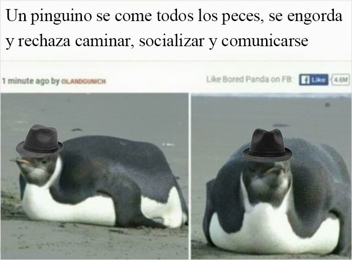 Creo esto va aquí...