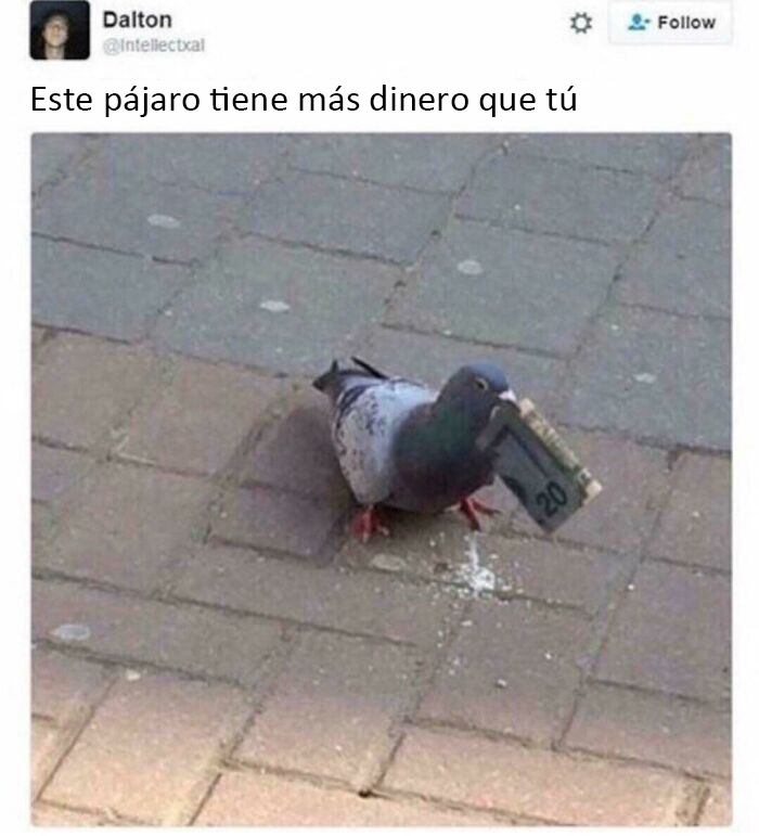 Y tampoco tiene deudas