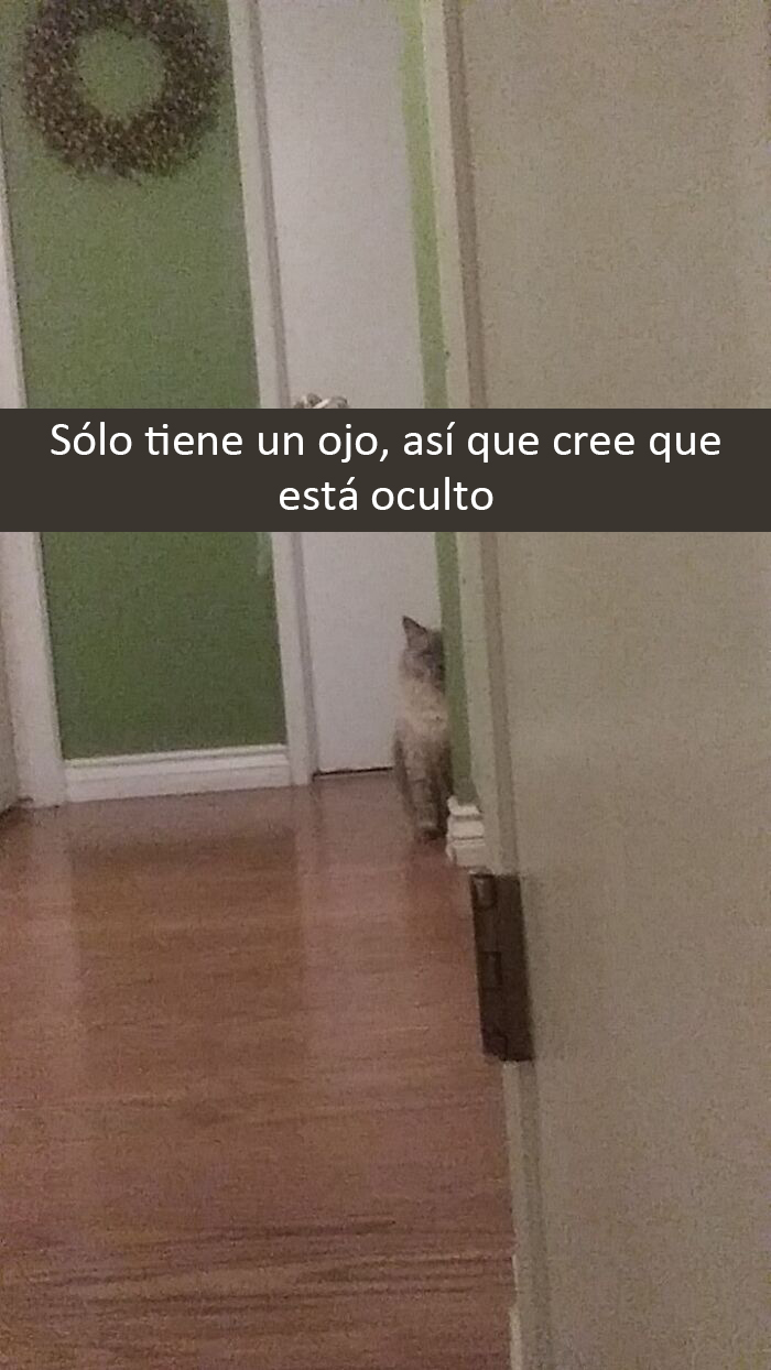 No es la herramienta más afilada del establo...