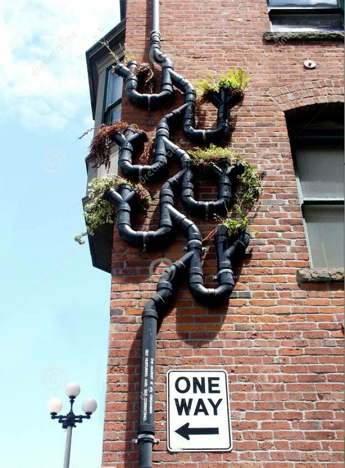 Canalón Bajante Con Jardín Vertical En Seattle