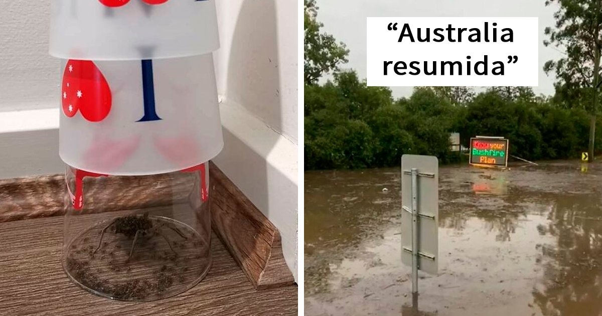 Esta comunidad online celebra la tierra del NO, y estas son 40 de sus mejores fotos