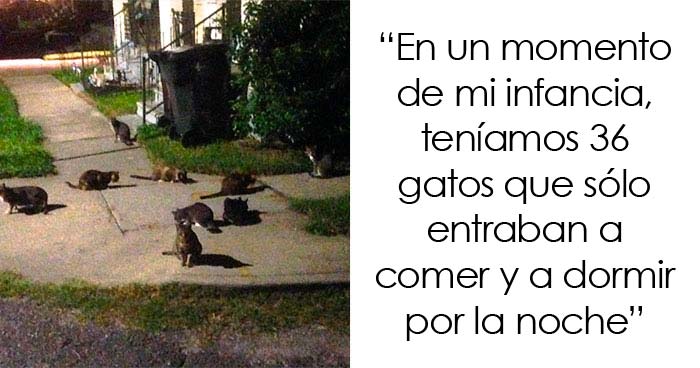 25 Rarezas familiares que la gente descubrió que no eran normales demasiado tarde en la vida