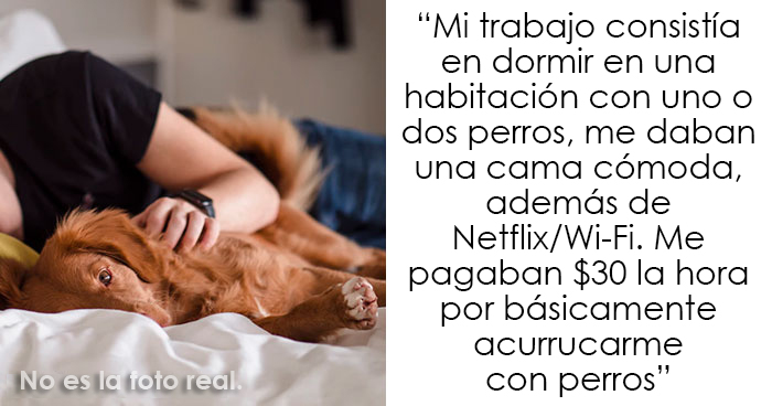 20 Personas comparten empleos aparentemente sencillos pero con un salario sorprendentemente alto