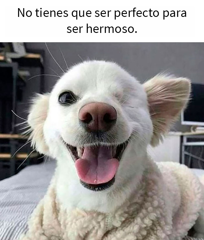 This Online Group Has People Sharing Only The Most Blessed Pics And It's Like Internet Heaven (50 Pics)
