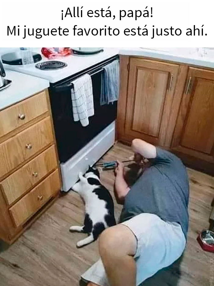This Online Group Has People Sharing Only The Most Blessed Pics And It's Like Internet Heaven (50 Pics)