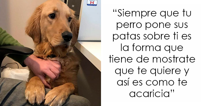 10 Datos y mitos sobre los perros que todos los dueños deberían conocer, por «Knowledgesaurus»