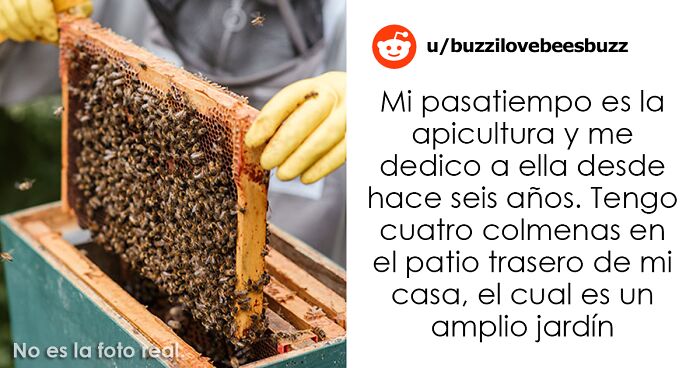 Este vecindario planta cara a un apicultor después de que se negara a renunciar a su pasatiempo por el bien de un niño alérgico a las abejas