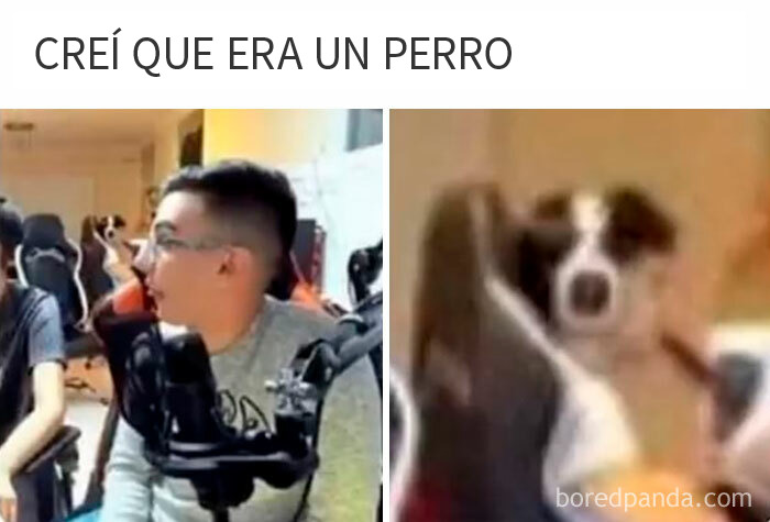 El perro al fondo