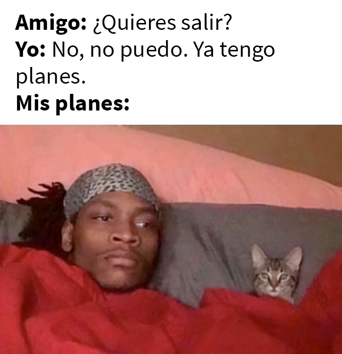 This Online Group Is Sharing The Best Cat Posts, Jokes, And Memes (50 Pics)