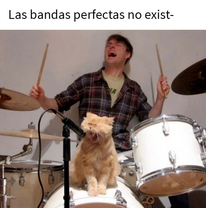 This Online Group Is Sharing The Best Cat Posts, Jokes, And Memes (50 Pics)