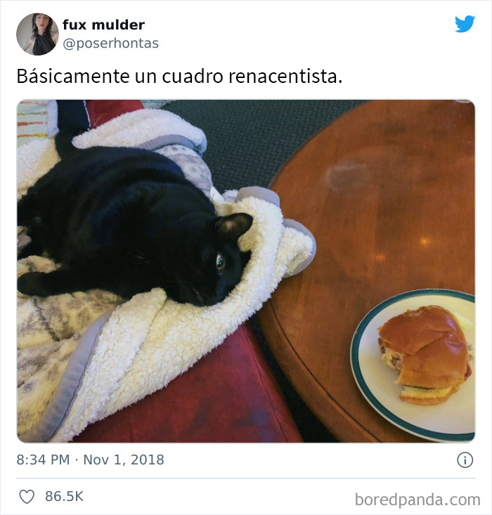 This Online Group Is Sharing The Best Cat Posts, Jokes, And Memes (50 Pics)