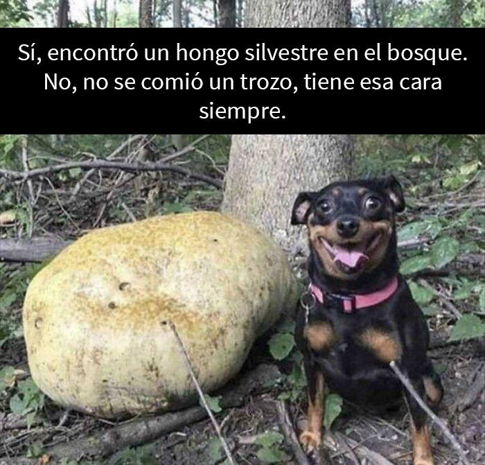 No le creo