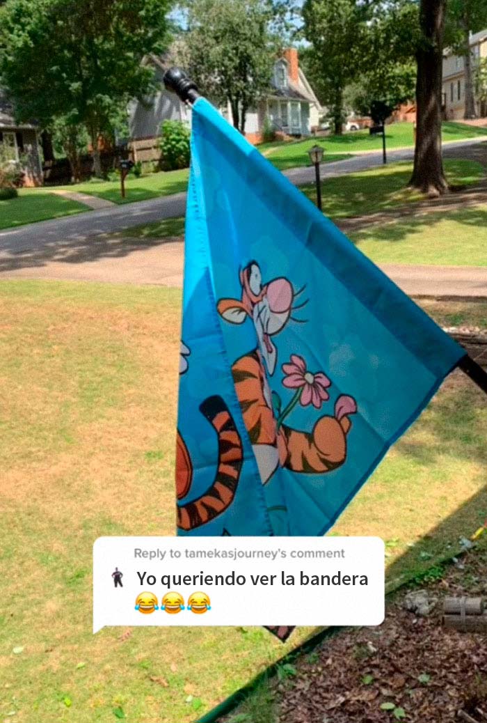 Esta Karen amargada se siente provocada por una bandera de Tigger que tiene su vecina y se vuelve viral en TikTok