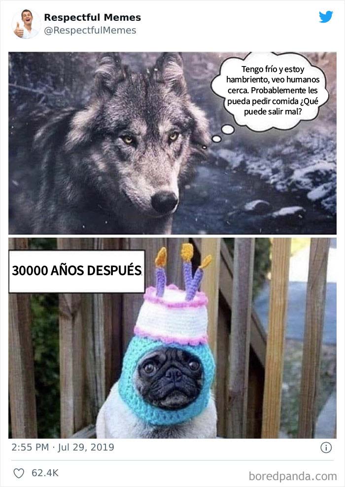 This Twitter Profile Collects Only The Most Respectful Memes, Here Are 50 Of The Best