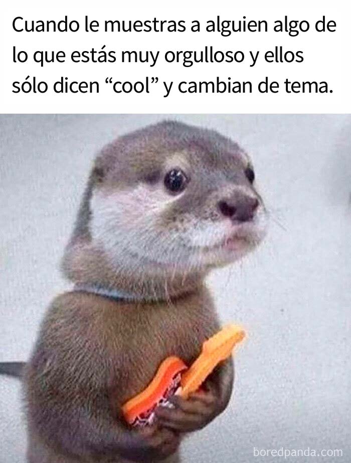 Que alguien le haga un cumplido a la pobre antes de que empiece a llorar...