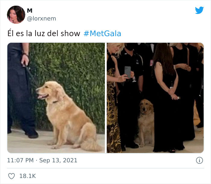 30 Hilarious Tweet Reactions To The 2021 Met Gala