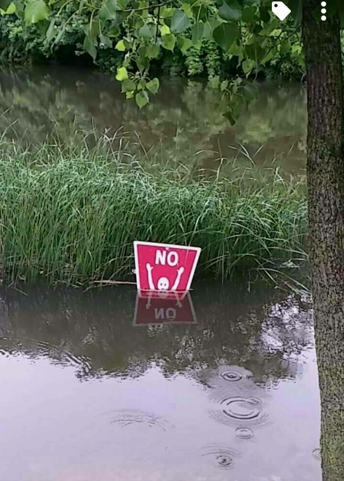 Gracias A Las Lluvias, Este Cartel De "No Nadar" Ha Quedado Cubierto Al Nivel Ideal