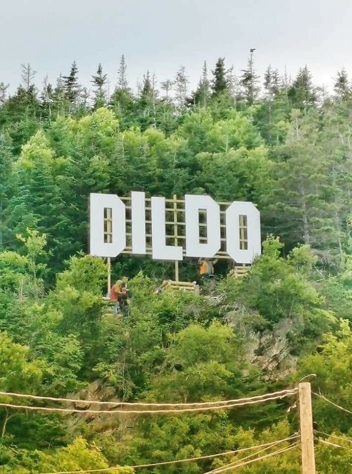 La Ciudad De Dildo, En Terranova, Canadá, Acaba De Poner Un Nuevo Cartel