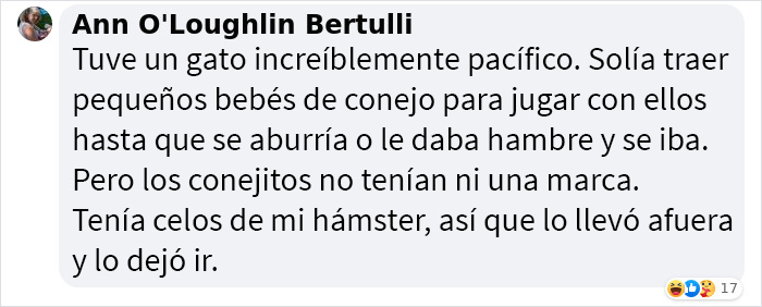 Se suponía que este gato tenía que atrapar a un ratón que vivía en la casa, pero acabaron haciéndose amigos