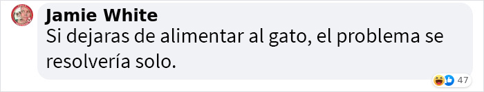 Se suponía que este gato tenía que atrapar a un ratón que vivía en la casa, pero acabaron haciéndose amigos