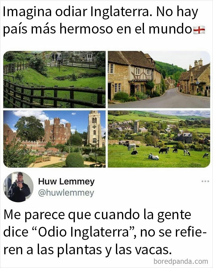 Las vacas son bonitas