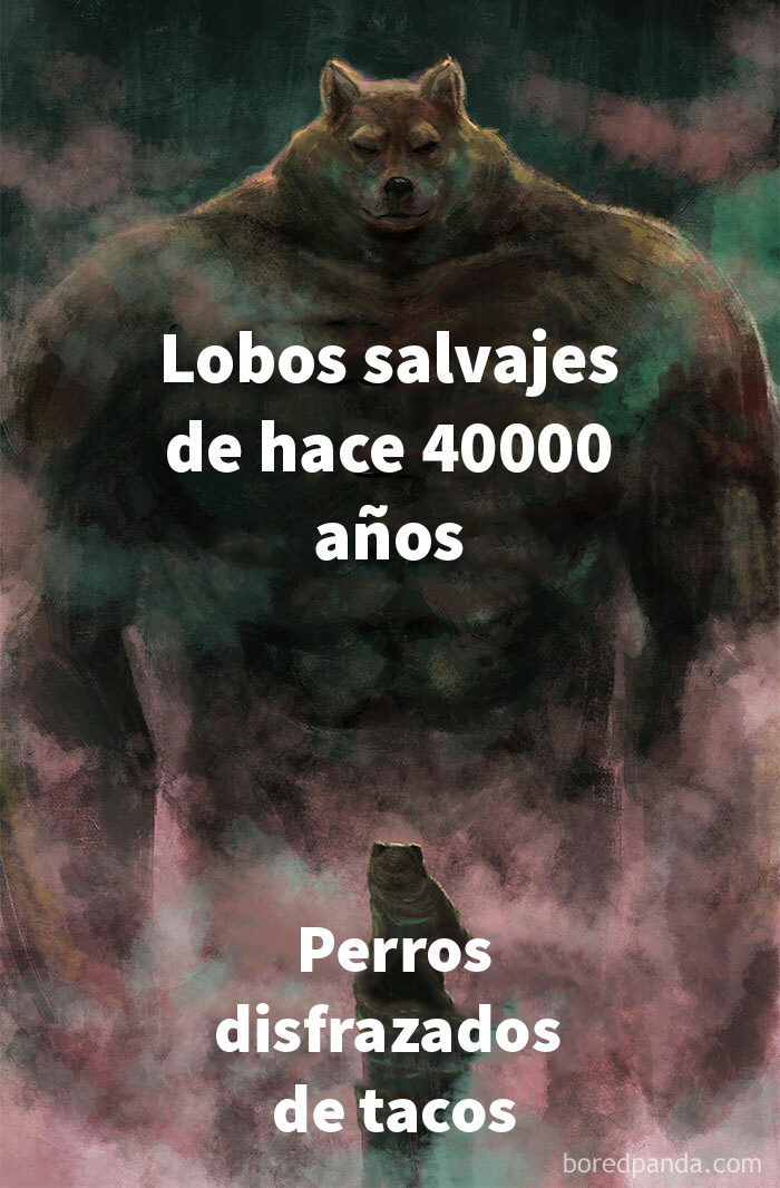 La domesticación tenía un precio