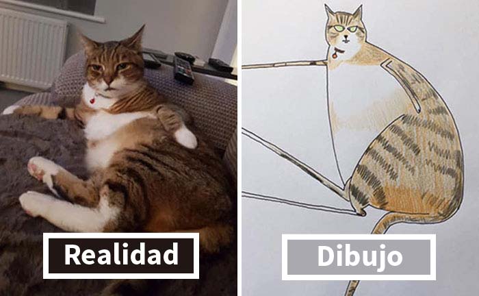 30 Retratos de animales tan mal dibujados que parecen obras maestras