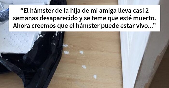Los padres de Twitter siguen subiendo el listón de la comedia, y aquí están 20 de sus tuits más divertidos de este agosto
