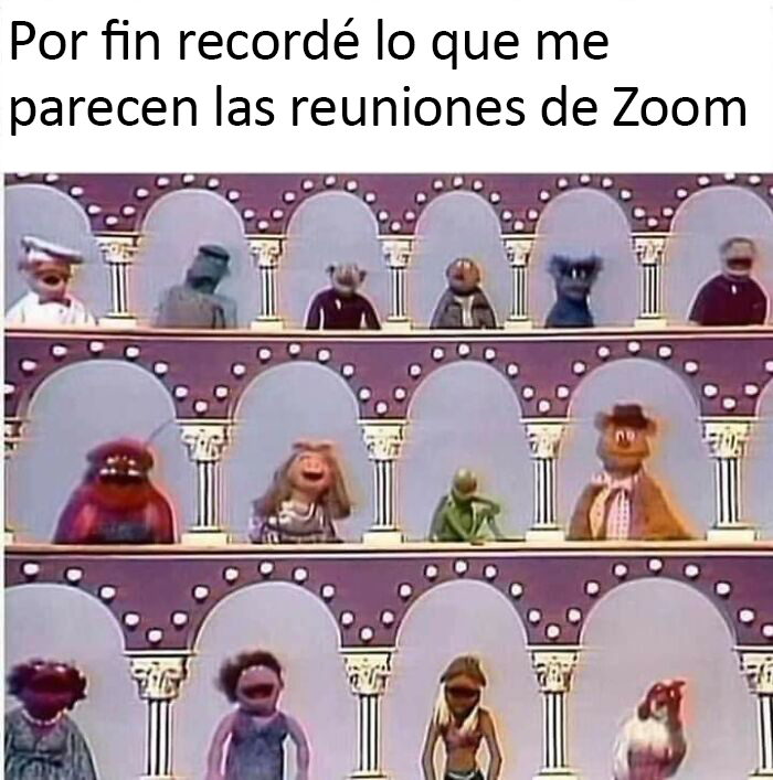 ¡Reuniones de Zoom!