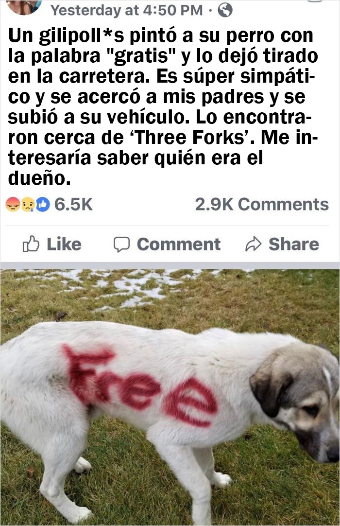 Una absoluta basura humana