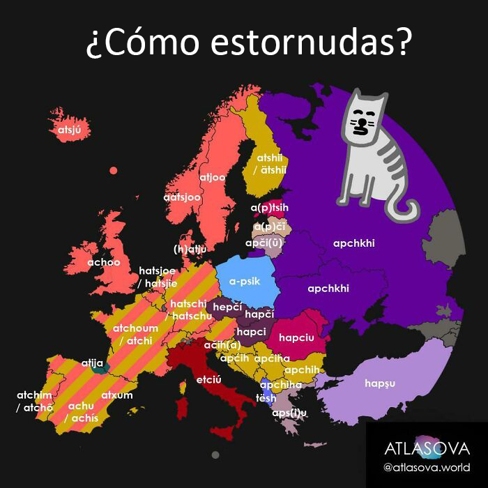 ¿Cómo estornudas?