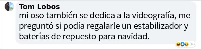 "¡Sin duda la cosa más loca que he encontrado!": Un cazador encuentra una cámara perdida con imágenes grabadas por un oso