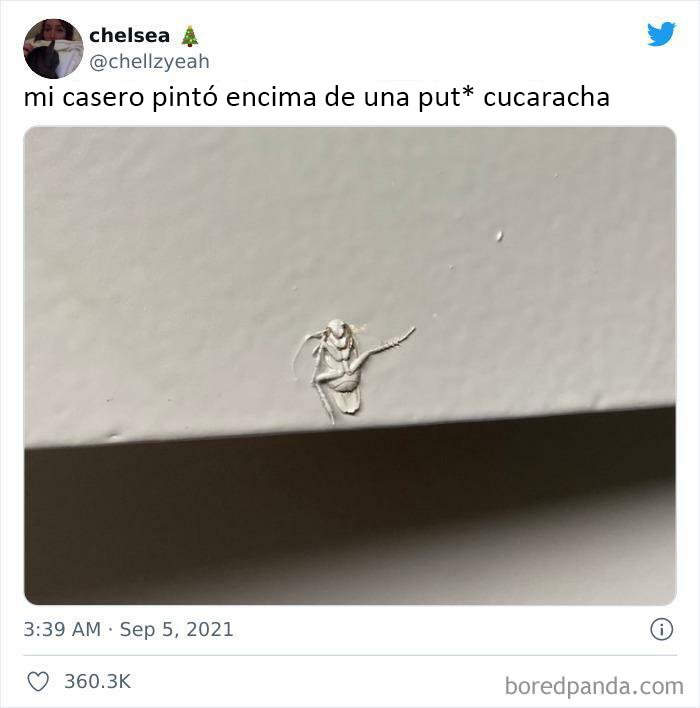 Sanguijuela pinta sobre cucaracha