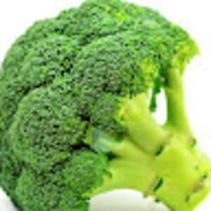mamadorgay avatar