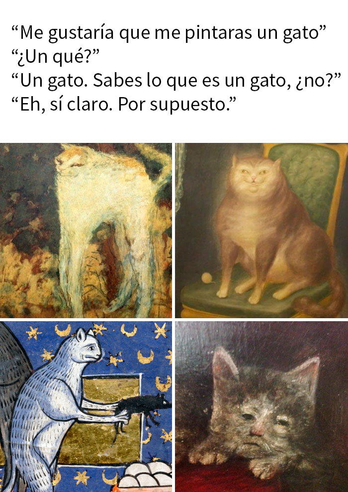 Nunca vieron un gato