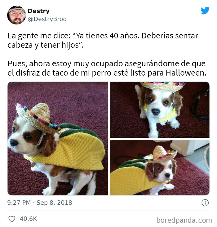 Nunca me había identificado tanto con un tuit. ¡Por un Halloween sin hijos!