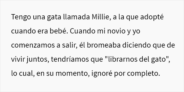 Esta mujer pregunta si fue una idiota por echar a su novio de su apartamento al descubrirlo hablándole de mala manera a su gata