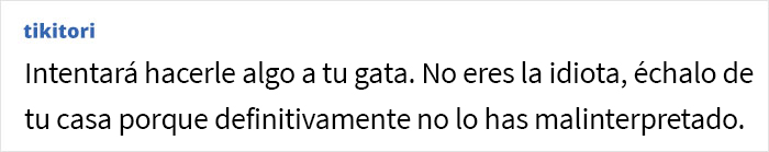 Esta mujer pregunta si fue una idiota por echar a su novio de su apartamento al descubrirlo hablándole de mala manera a su gata