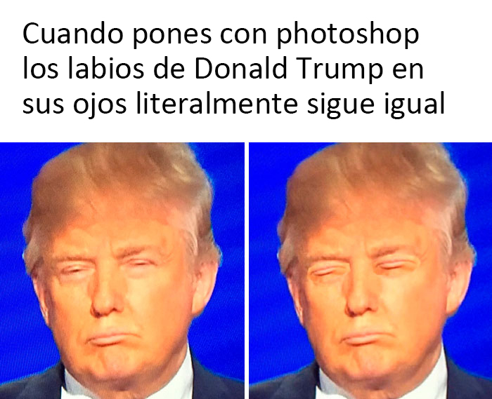 Gracias, odio a Trump