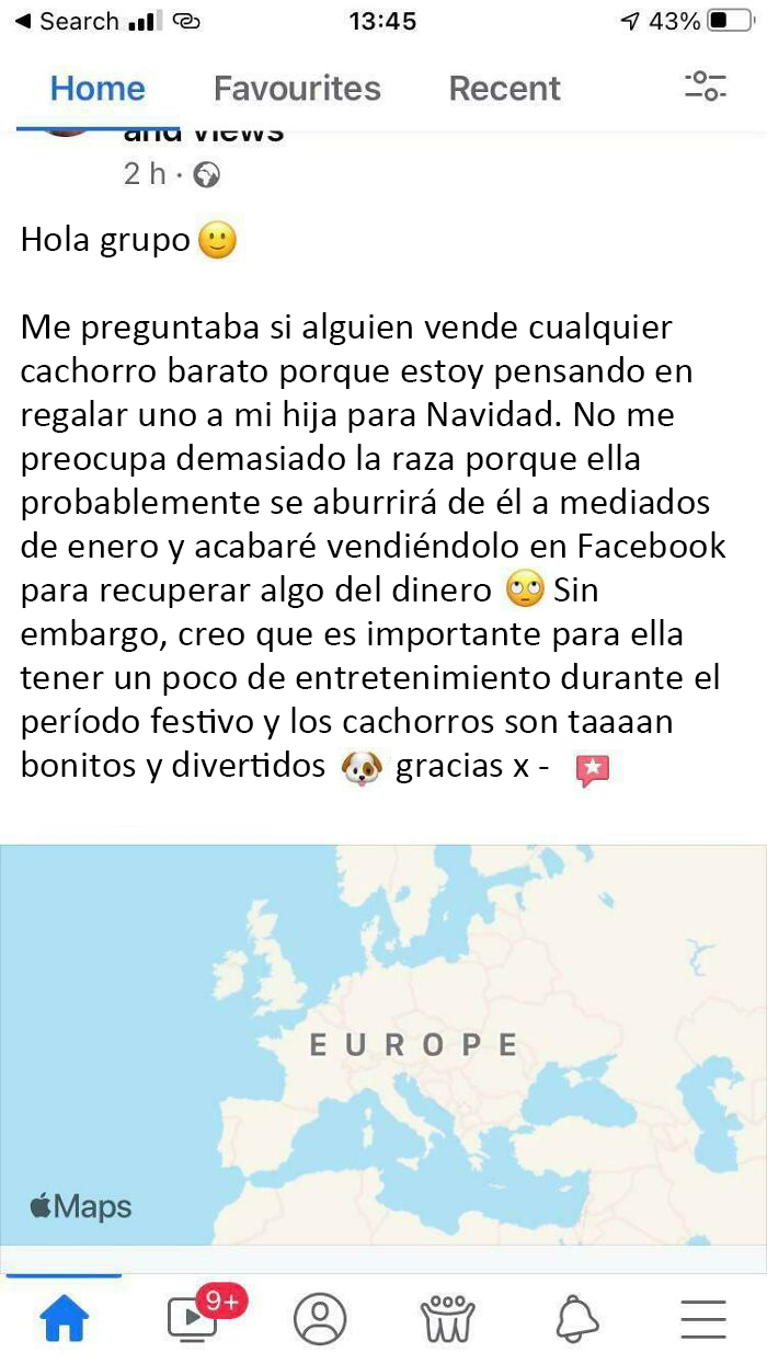 La gente compra como regalo de Navidad animales que no tiene intención de querer o conservar