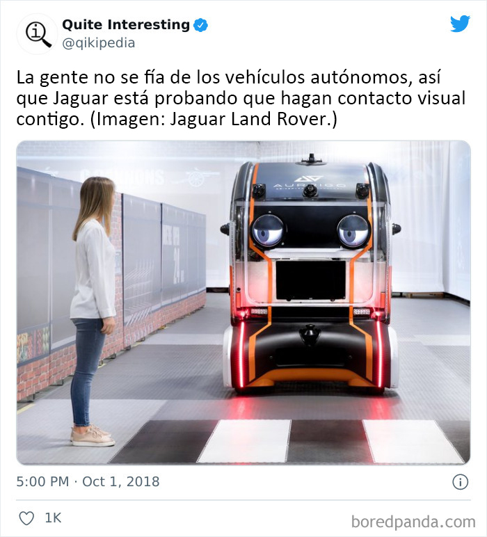 Gracias, odio hacer contacto visual con un coche