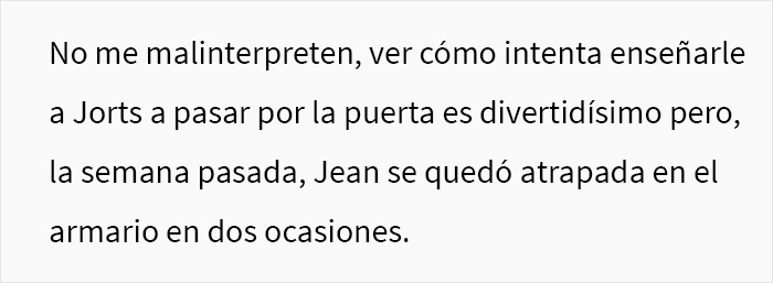 Este hombre hizo llorar a su compañera de trabajo por llamar “tonto” a uno de los gatos de la oficina, y el problema acaba involucrando a RR.HH