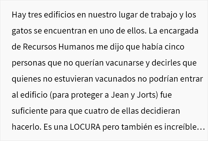 Este hombre hizo llorar a su compañera de trabajo por llamar “tonto” a uno de los gatos de la oficina, y el problema acaba involucrando a RR.HH