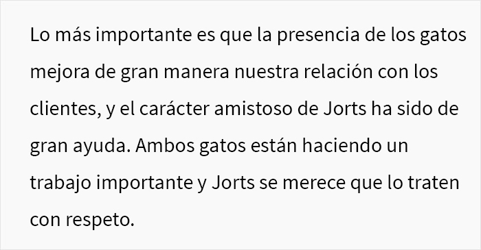 Este hombre hizo llorar a su compañera de trabajo por llamar “tonto” a uno de los gatos de la oficina, y el problema acaba involucrando a RR.HH